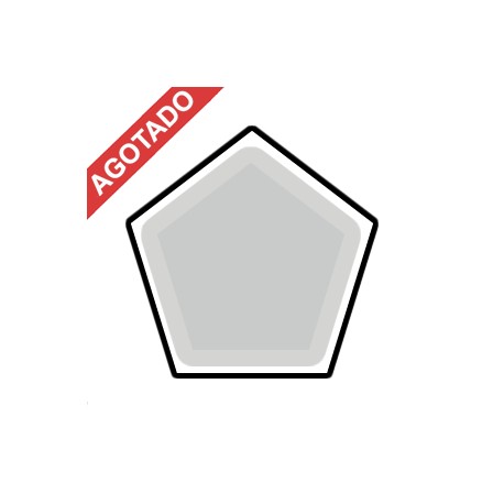 HOLOGRAFICO PLATA